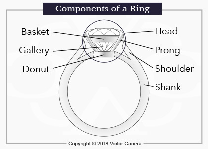 A Diagram that breaks down the anatomy of a ring